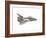 Cut-Away Diagram of the Space Shuttle-null-Framed Photo