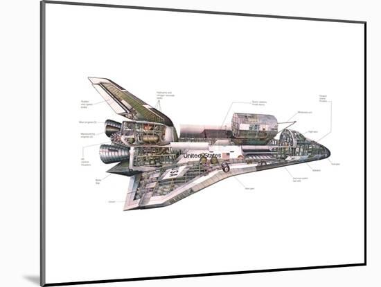Cut-Away Diagram of the Space Shuttle-null-Mounted Photo