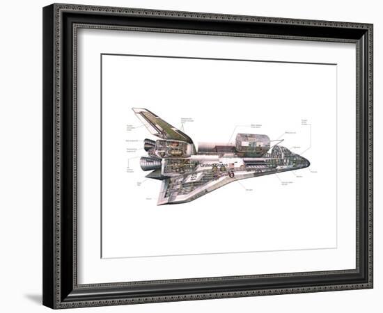 Cut-Away Diagram of the Space Shuttle-null-Framed Photo