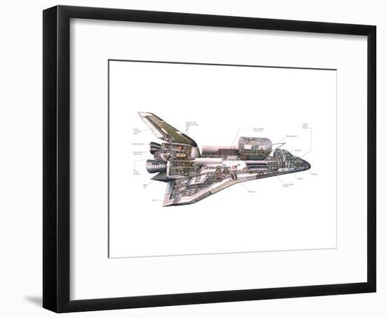 Cut-Away Diagram of the Space Shuttle-null-Framed Photo