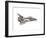 Cut-Away Diagram of the Space Shuttle-null-Framed Photo