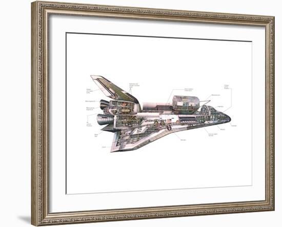 Cut-Away Diagram of the Space Shuttle-null-Framed Photo