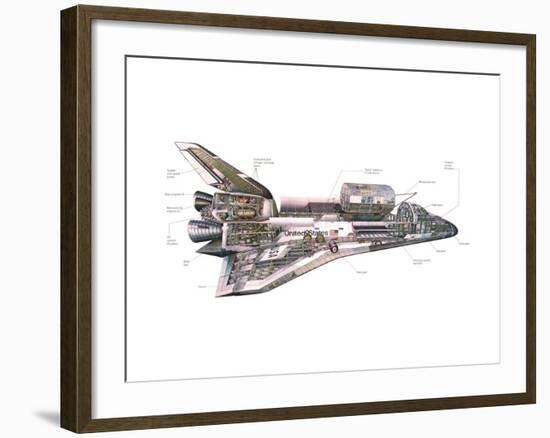 Cut-Away Diagram of the Space Shuttle-null-Framed Photo