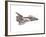 Cut-Away Diagram of the Space Shuttle-null-Framed Photo