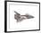 Cut-Away Diagram of the Space Shuttle-null-Framed Photo