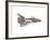 Cut-Away Diagram of the Space Shuttle-null-Framed Photo