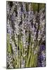 Cut Lavender I-Karyn Millet-Mounted Photographic Print