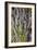 Cut Lavender I-Karyn Millet-Framed Photographic Print