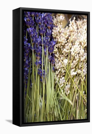 Cut Lavender II-Karyn Millet-Framed Premier Image Canvas