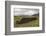 Cut Peat Stacked up for Winter, Connemara, County Galway, Connacht, Republic of Ireland-Gary Cook-Framed Photographic Print