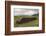 Cut Peat Stacked up for Winter, Connemara, County Galway, Connacht, Republic of Ireland-Gary Cook-Framed Photographic Print