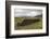 Cut Peat Stacked up for Winter, Connemara, County Galway, Connacht, Republic of Ireland-Gary Cook-Framed Photographic Print