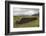 Cut Peat Stacked up for Winter, Connemara, County Galway, Connacht, Republic of Ireland-Gary Cook-Framed Photographic Print