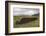 Cut Peat Stacked up for Winter, Connemara, County Galway, Connacht, Republic of Ireland-Gary Cook-Framed Photographic Print