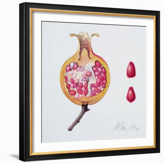 Cut Pomegranate (W/C on Paper)-Margaret Ann Eden-Framed Giclee Print