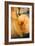 Cut Pumpkin-Veronique Leplat-Framed Photographic Print