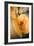 Cut Pumpkin-Veronique Leplat-Framed Photographic Print