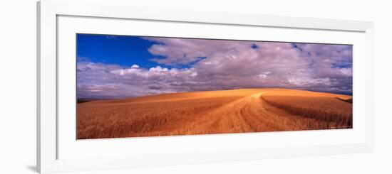 Cut Road Through Wheat Field, Colfax, Washington, USA-Terry Eggers-Framed Photographic Print