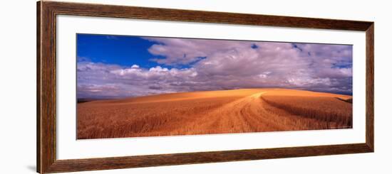 Cut Road Through Wheat Field, Colfax, Washington, USA-Terry Eggers-Framed Photographic Print