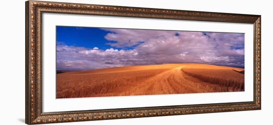 Cut Road Through Wheat Field, Colfax, Washington, USA-Terry Eggers-Framed Photographic Print