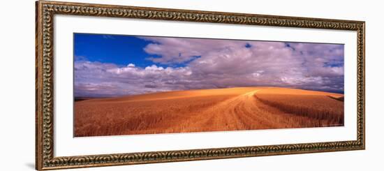 Cut Road Through Wheat Field, Colfax, Washington, USA-Terry Eggers-Framed Photographic Print