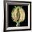 Cut Seed Capsule of Opium Poppy-Dr^ Jeremy-Framed Premium Photographic Print