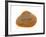 Cut Trough Shell, Belgium-Philippe Clement-Framed Photographic Print