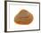 Cut Trough Shell, Belgium-Philippe Clement-Framed Photographic Print