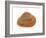 Cut Trough Shell, Belgium-Philippe Clement-Framed Photographic Print