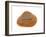 Cut Trough Shell, Belgium-Philippe Clement-Framed Photographic Print