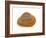 Cut Trough Shell, Belgium-Philippe Clement-Framed Photographic Print