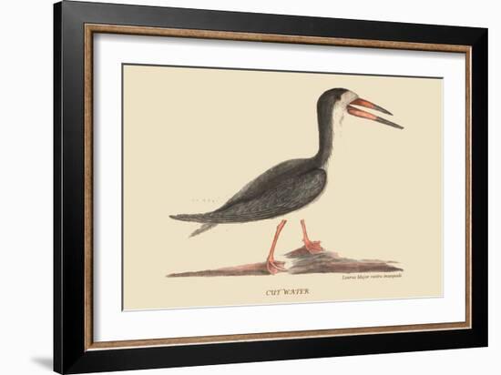 Cut Water-Mark Catesby-Framed Art Print