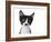 Cute Black And White Kitten With A Mustache-Hannamariah-Framed Photographic Print