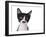 Cute Black And White Kitten With A Mustache-Hannamariah-Framed Photographic Print