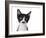 Cute Black And White Kitten With A Mustache-Hannamariah-Framed Photographic Print