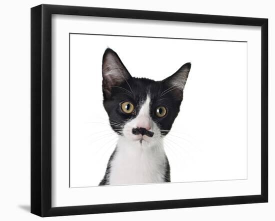 Cute Black And White Kitten With A Mustache-Hannamariah-Framed Photographic Print