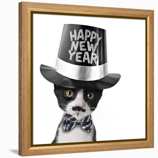 Cute Black and White Kitten with Moustache, Bow Tie and Happy New Year Hat-Hannamariah-Framed Premier Image Canvas