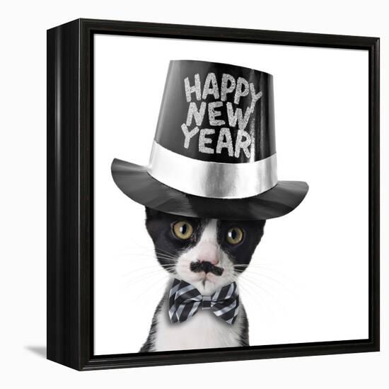 Cute Black and White Kitten with Moustache, Bow Tie and Happy New Year Hat-Hannamariah-Framed Premier Image Canvas