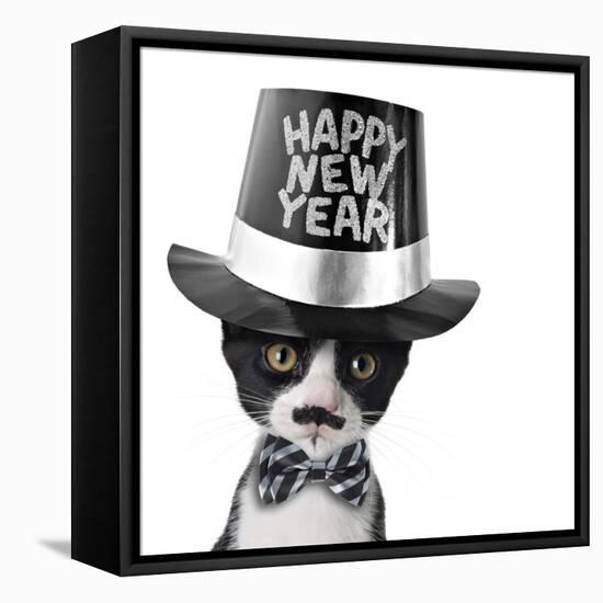 Cute Black and White Kitten with Moustache, Bow Tie and Happy New Year Hat-Hannamariah-Framed Premier Image Canvas