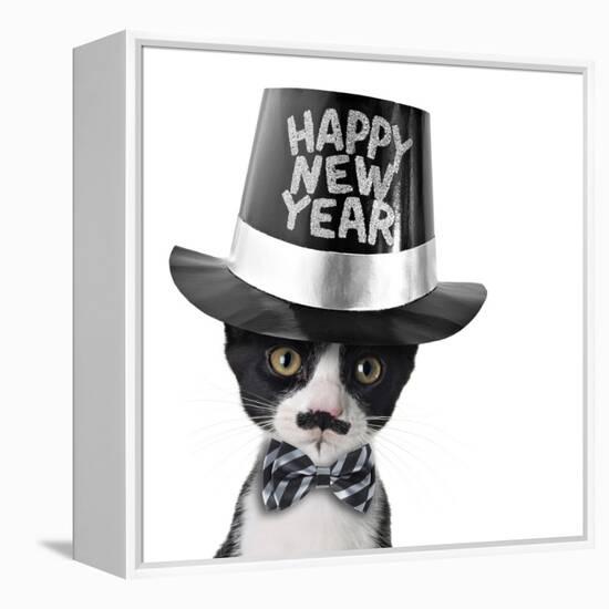 Cute Black and White Kitten with Moustache, Bow Tie and Happy New Year Hat-Hannamariah-Framed Premier Image Canvas