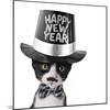 Cute Black and White Kitten with Moustache, Bow Tie and Happy New Year Hat-Hannamariah-Mounted Photographic Print