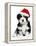 Cute Christmas Havanese Puppy Dog with a Santa Hat-mdorottya-Framed Premier Image Canvas