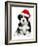 Cute Christmas Havanese Puppy Dog with a Santa Hat-mdorottya-Framed Photographic Print