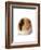 Cute Guinea Pig on White Background-Picture Partners-Framed Photographic Print