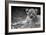 Cute Lion Cub In Black And White-Donvanstaden-Framed Art Print