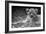 Cute Lion Cub In Black And White-Donvanstaden-Framed Art Print