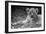 Cute Lion Cub In Black And White-Donvanstaden-Framed Premium Giclee Print