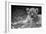 Cute Lion Cub In Black And White-Donvanstaden-Framed Premium Giclee Print