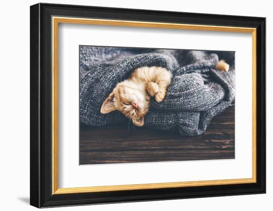 Cute Little Ginger Kitten is Sleeping in Soft Blanket on Wooden Floor-Alena Ozerova-Framed Photographic Print