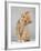 Cute Little Kitten-Lana Langlois-Framed Photographic Print